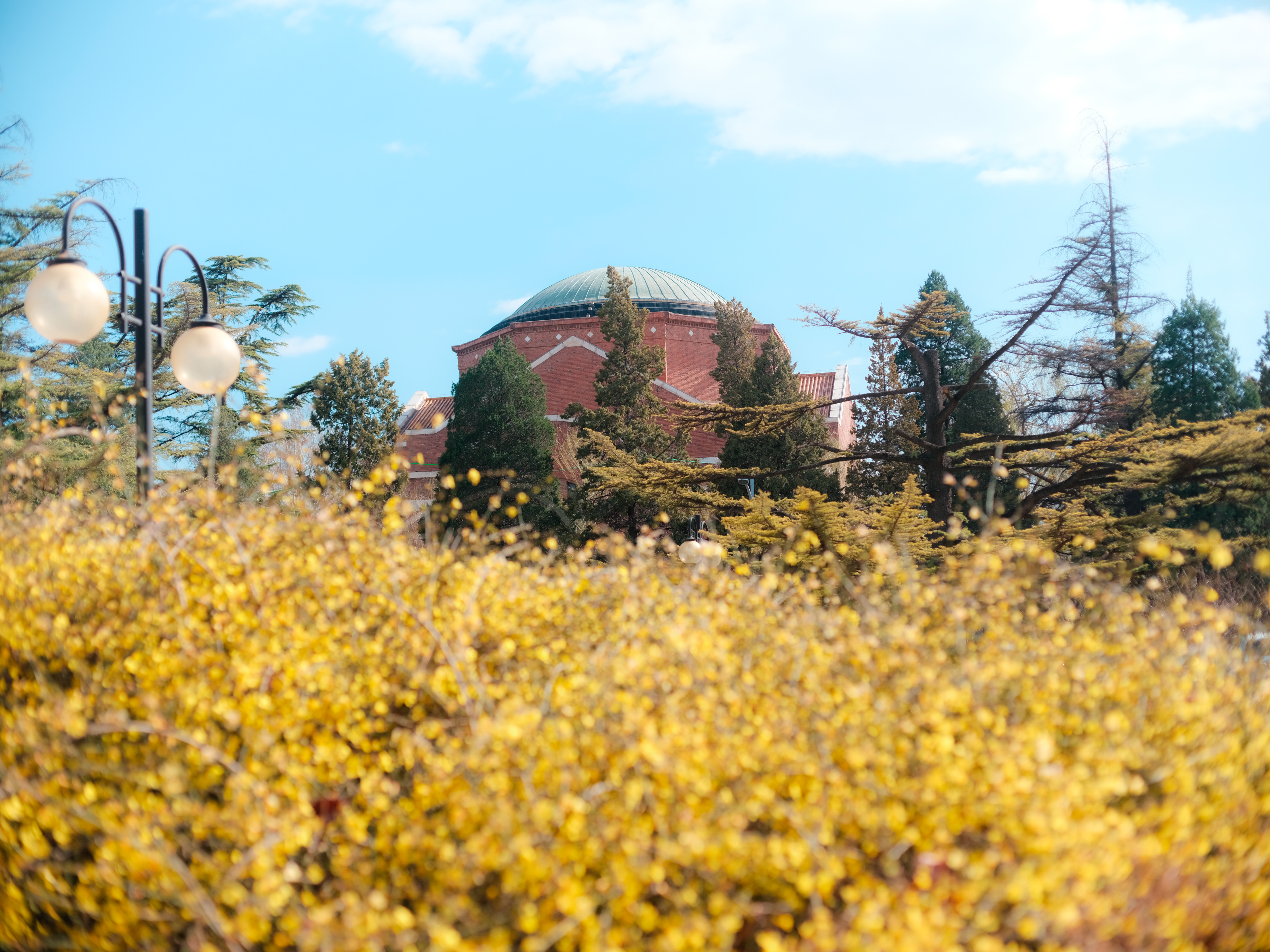 20250414-春日美景-学生记者-6.png