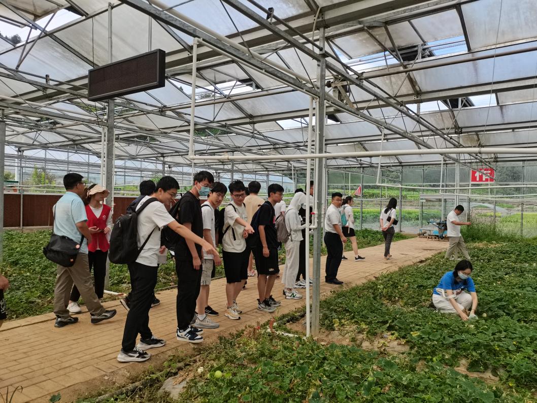 20220808-0814-金沙集团3354cc“林枫计划”师生赴江西赣县区调研实践-马小涵摄-支队师生参观五云镇夏潭村蔬菜研学基地.jpg